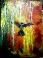 /album/fauna/img-0522-jpg/