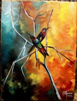 /album/fauna/img-0524-jpg/